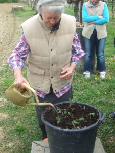 Bruna annaffia le fragoline